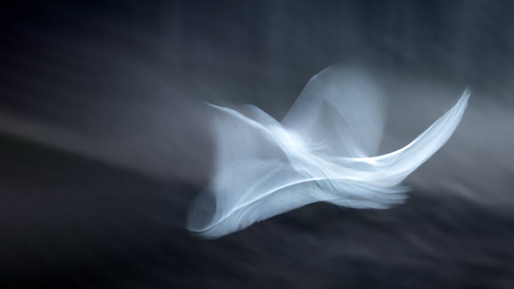 Platz 7 Anton Kienle